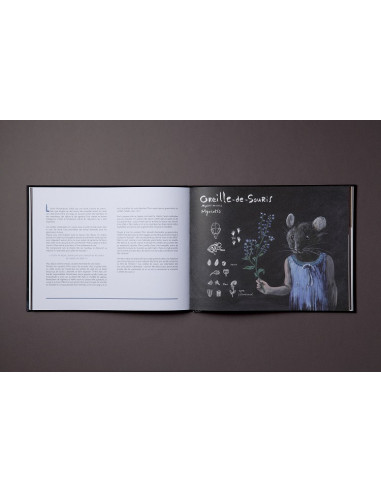 Une dent de lion dans mon jardin