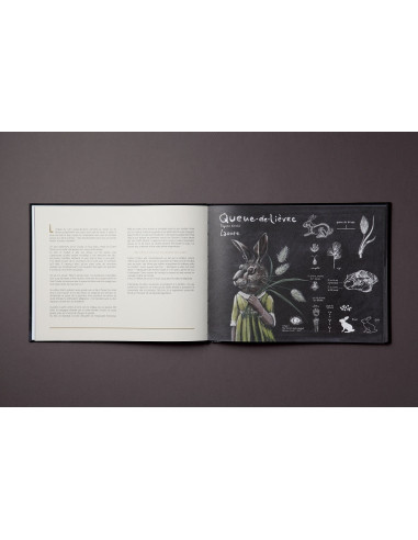 Une dent de lion dans mon jardin