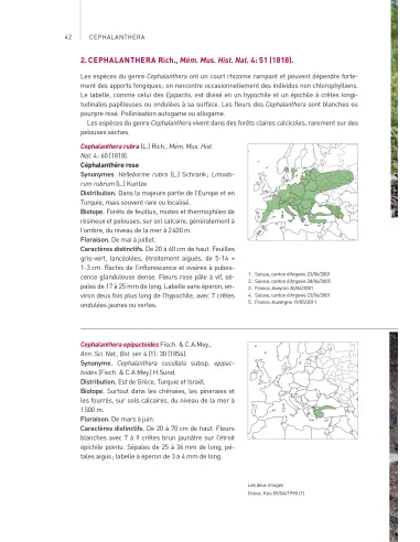 Orchidées d'Europe & de Méditerranée