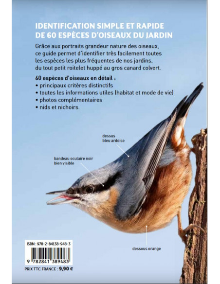 Reconnaître facilement les oiseaux du jardin