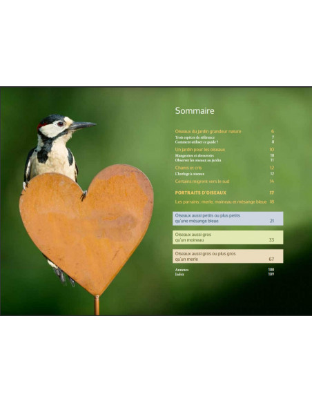Reconnaître facilement les oiseaux du jardin