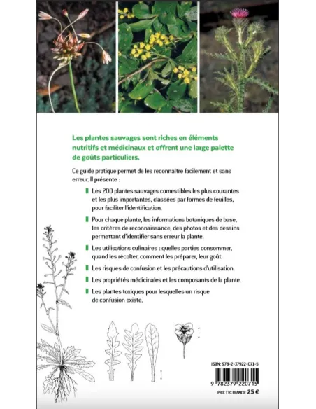 Plantes sauvages comestibles - Les 200 espèces les plus importantes