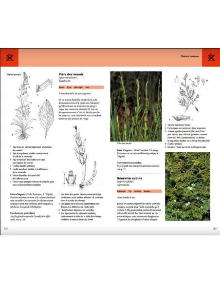 Plantes sauvages comestibles - Les 200 espèces les plus importantes