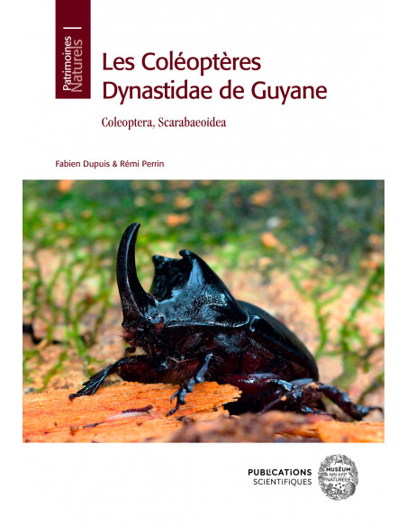 Les coléoptères Dynastidae de Guyane