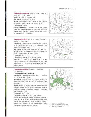Orchidées d'Europe & de Méditerranée