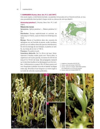 Orchidées d'Europe & de Méditerranée
