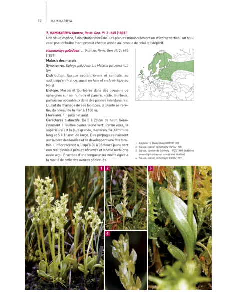 Orchidées d'Europe & de Méditerranée