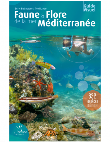 Faune & flore de la mer Méditerranée - Guide Visuel