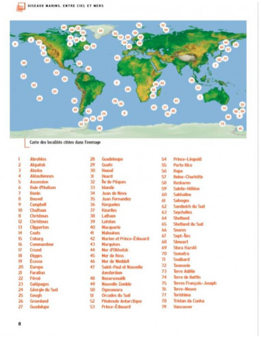 Oiseaux marins - Entre ciel et mers