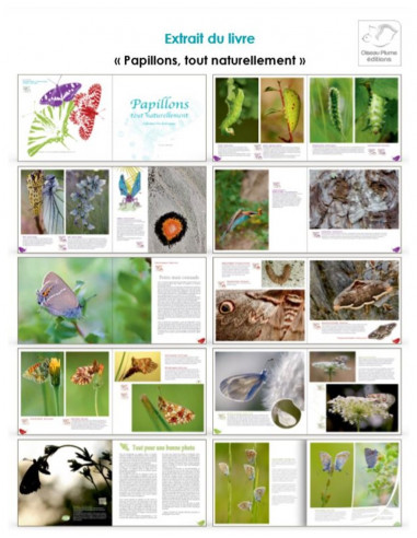 Papillons tout naturellement