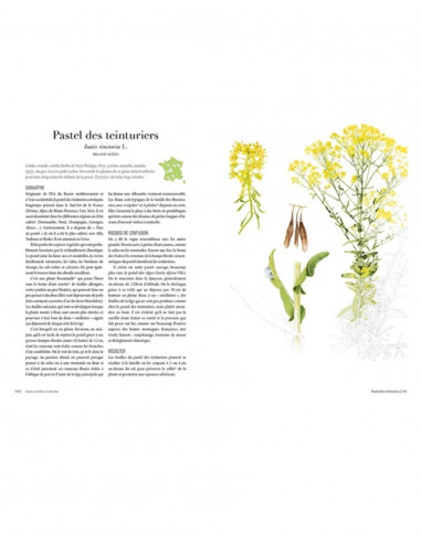 Livres - Thierry Thevenin - Herbes de vie