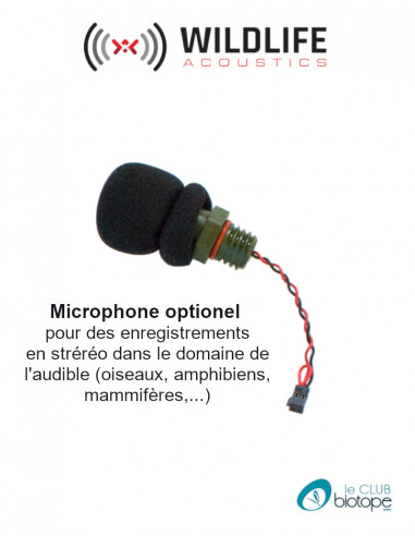 Song Meter Mini (enregistreur dans l'audible) Wildlife acoustics