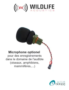 Microphone acoustique pour Song Meter Mini / Mini 2 ou Mini BAT / Mini BAT 2