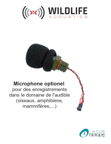 Microphone acoustique pour Song Meter Mini / Mini 2 ou Mini BAT / Mini BAT 2