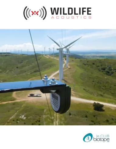 Micrófono ultrasónico SMM-U2 Wildlife Acoustics para SM3BAT y SM4BAT + cable de 5M