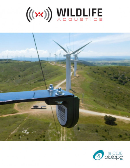 Microphone à ultrasons Willdife Acoustics SMM-U2 pour SM3BAT et SM4BAT + câble de 5M