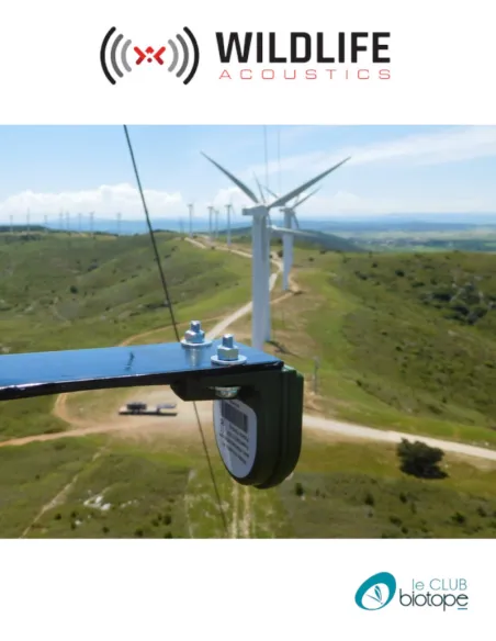 Willdife Acoustics SMM-U2 Ultrasonic Microphone for SM3BAT and SM4BAT + 5M cable