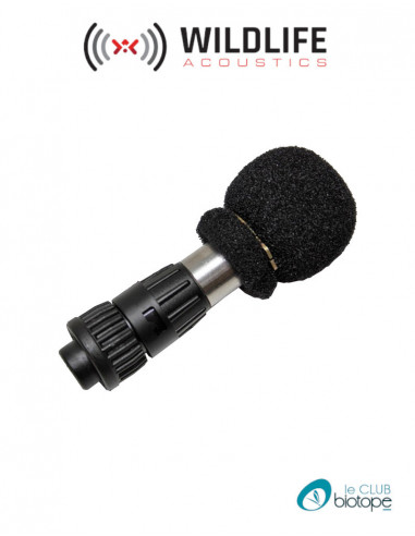 Microphone acoustique  SMX-II Wildlife Acoustics pour SM2BAT et SM2+ acoustique