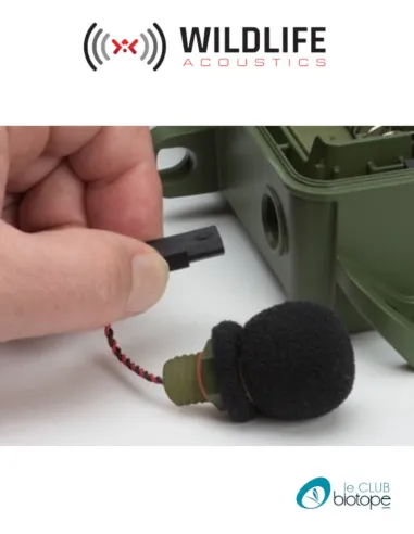 Microphone de remplacement pour SM4 acoustique