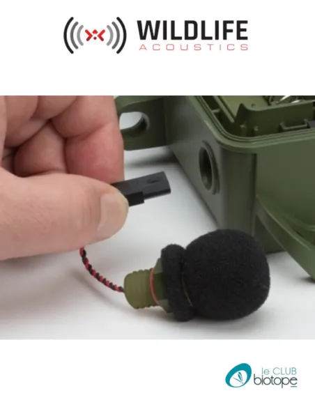 Microphone de remplacement pour SM4 acoustique