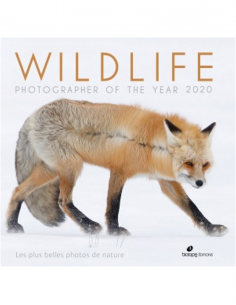 Wildlife Photographer of the Year 2020 - Les plus belles...