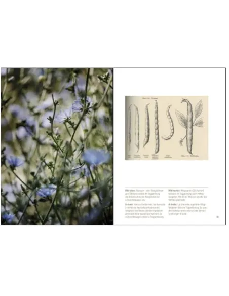 Les potagers historiques de la Suisse