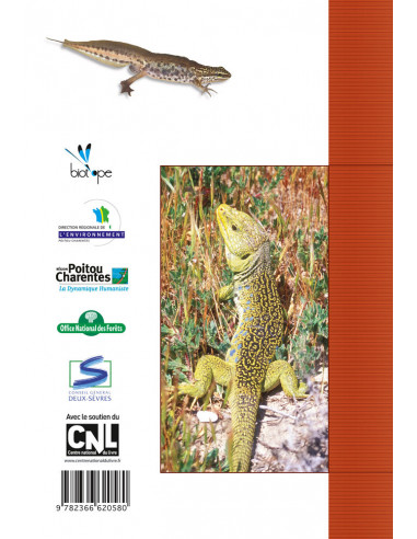 Amphibiens et les reptiles du...