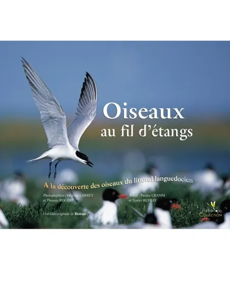 Oiseaux au fil d’étangs : à la découverte des oiseaux du littoral languedocien