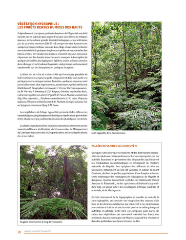 La Flore illustrée de Mayotte
