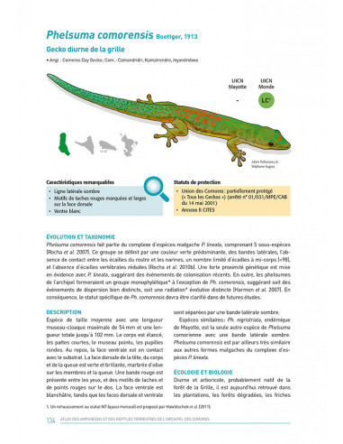 Atlas des Amphibiens et reptiles terrestres de l'archipel des Comores