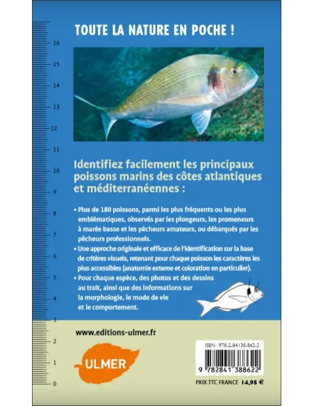 Poissons marins - 180 espèces de nos côtes
