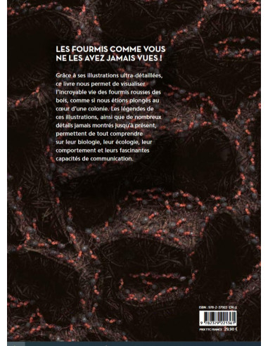 Fourmis - Vie et intelligence collective d'une colonie