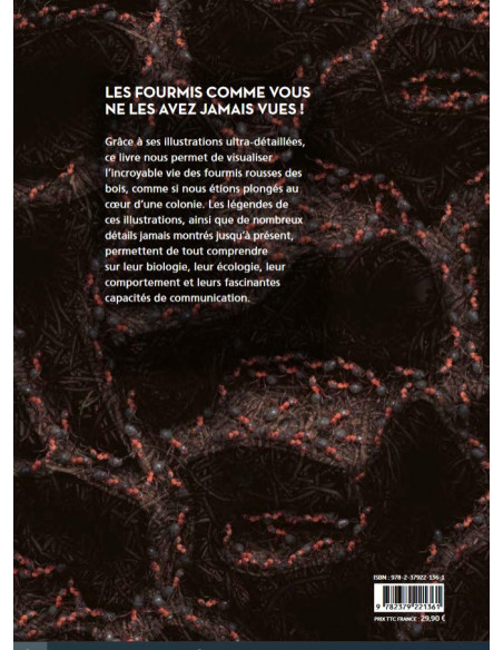 Fourmis - Vie et intelligence collective d'une colonie