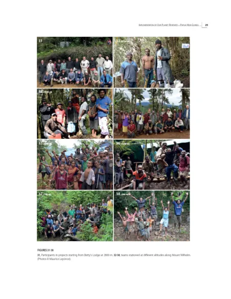 Insects of Mount Wilhelm Papua New Guinea - volume 2