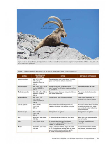 Atlas des mammifères sauvages de...