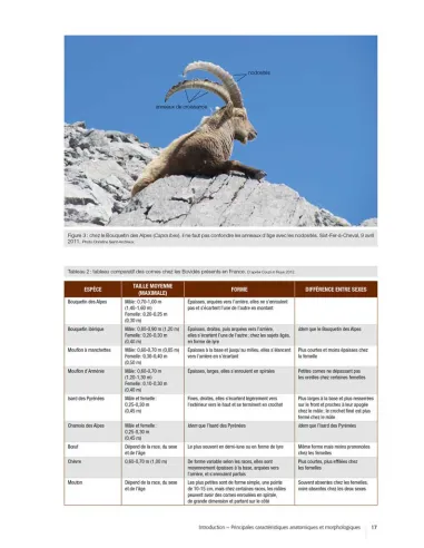 ATLAS DES MAMMIFERES SAUVAGES DE...