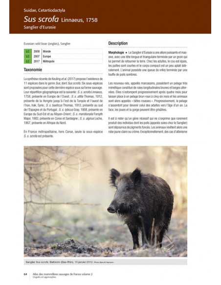 Atlas des mammifères sauvages de France Volume 2 - Ongulés et Lagomorphes