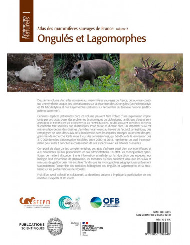 lagomorphes