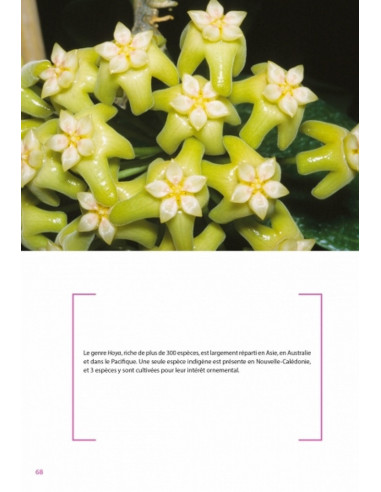 Flore de la Nouvelle-Calédonie,...