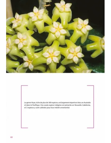 Flore de la Nouvelle-Calédonie,...