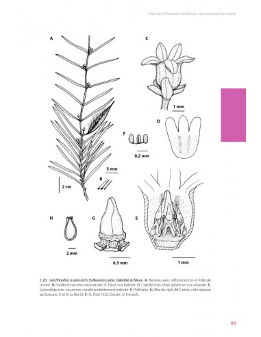 Flore de la Nouvelle-Calédonie,...