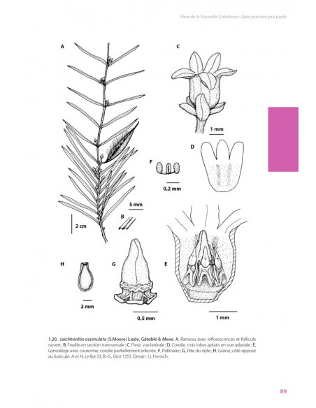 Flore de la Nouvelle-Calédonie, Volume  27 - Apocynaceae p.p., Phellinaceae, Capparaceae
