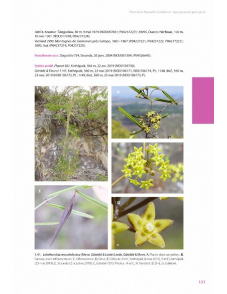 Flore de la Nouvelle-Calédonie, Volume  27 - Apocynaceae p.p., Phellinaceae, Capparaceae