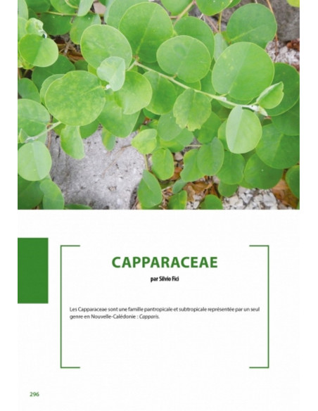 Flore de la Nouvelle-Calédonie, Volume  27 - Apocynaceae p.p., Phellinaceae, Capparaceae