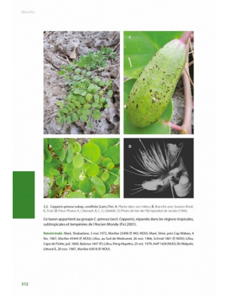 Flore de la Nouvelle-Calédonie, Volume  27 - Apocynaceae p.p., Phellinaceae, Capparaceae