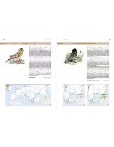 European Breeding Bird Atlas 2 :...