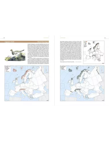 European Breeding Bird Atlas 2 :...