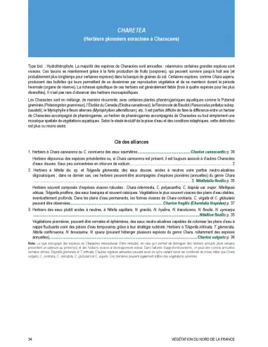 Végétation du nord de la France -...