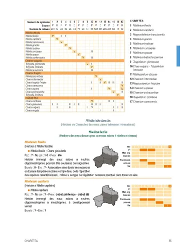 Végétation du nord de la France -...