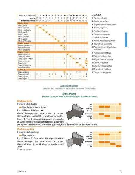 Végétation du nord de la France - Guide de détermination